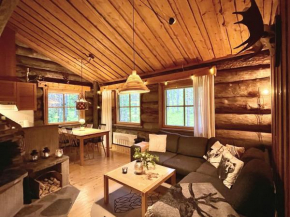 Lapland Lodge Pyhä, free wifi, sauna, ski in - ski out Kemijärvi